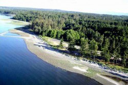 Vancouver Island Real Estate