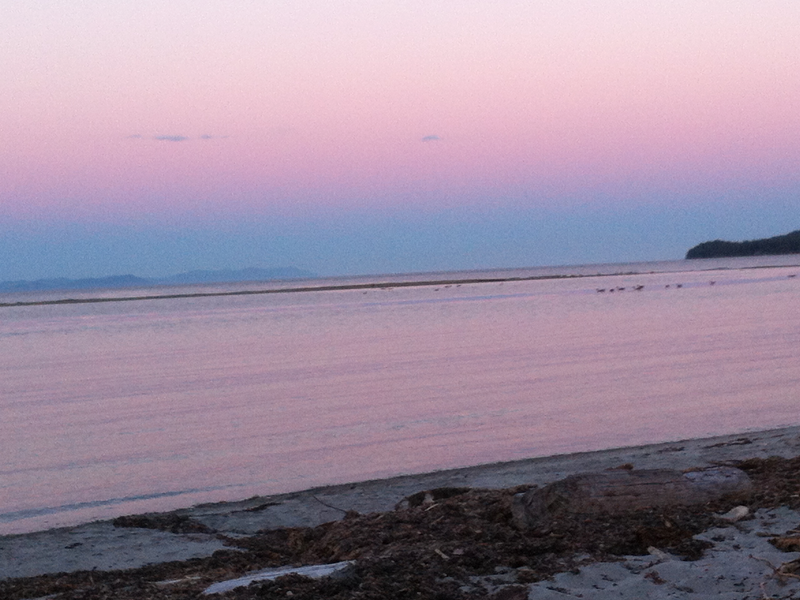 Driftwood Estates Saratoga Beach Oceanfront Lots Vancouver Island