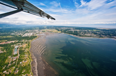 Comox estuary