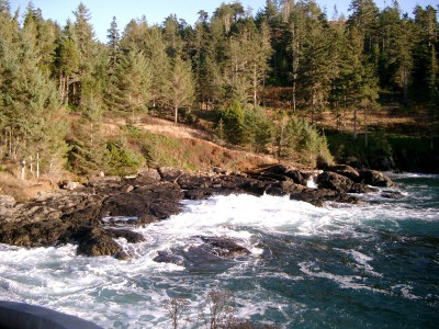 Phase IV Lots and New Private Residence Club Selling at Silver Spray in Sooke