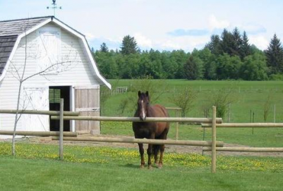 Comox Valley Realtor Tina Vincent Selling Cape Cod Country House